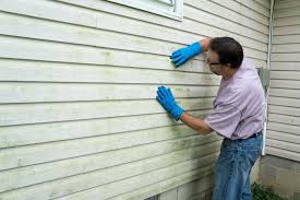 Best Insulated Siding Installation  in Elwood, KS